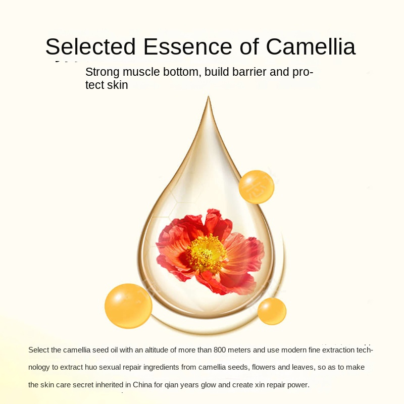 Camellia Oil OEM / Private Label Manufacturing